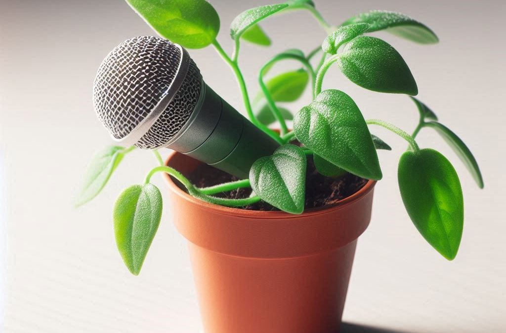 Planting your Mics to Capture Ambient Noise for your Live Mix